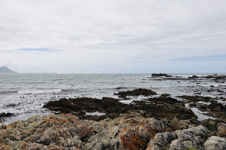Kleinmond, 2023