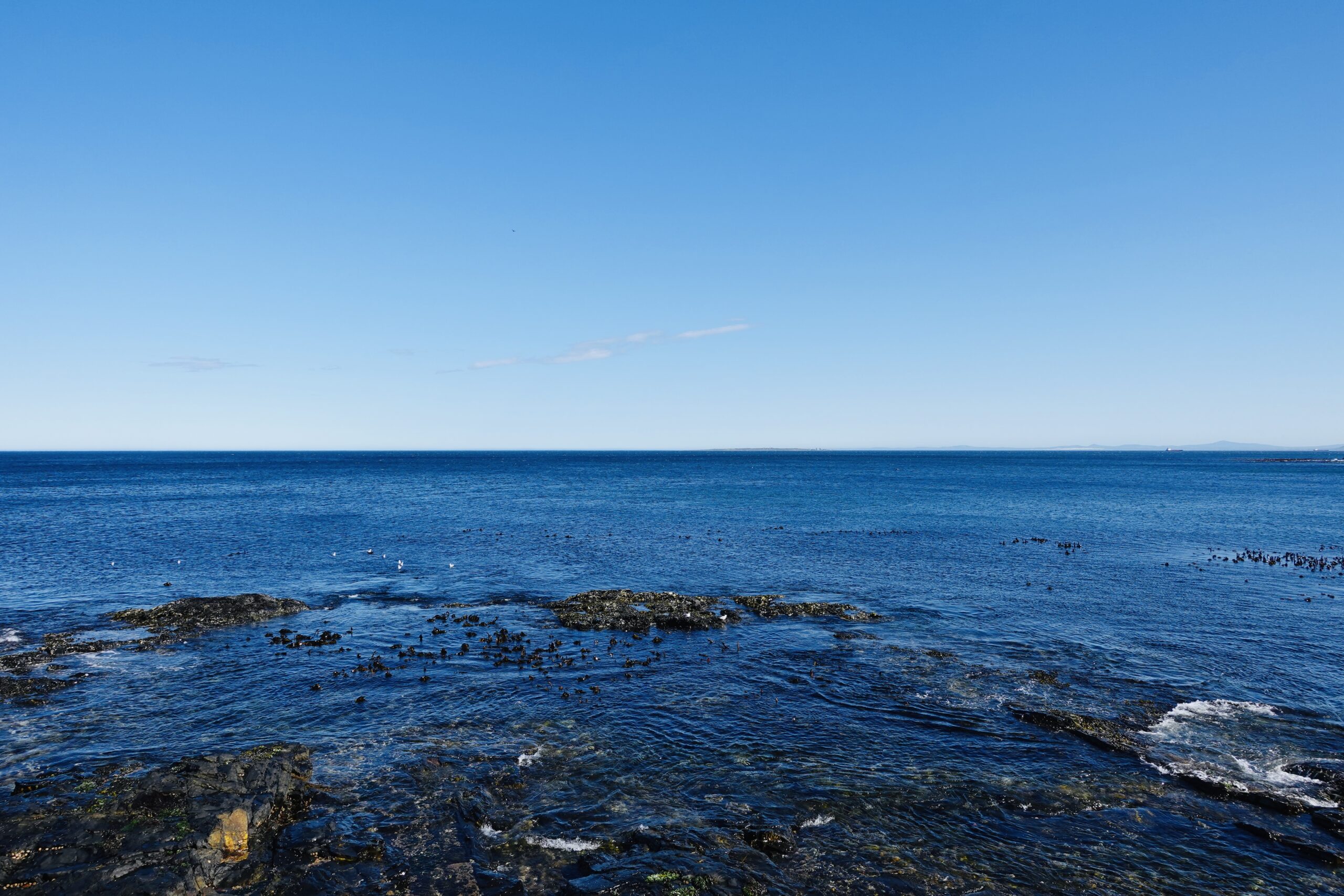 Seapoint, 2023
